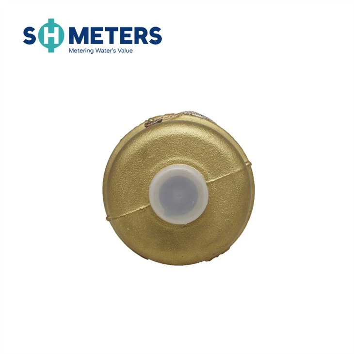 DN20 Small Size Body Brass Piston Volumetric Water Meter